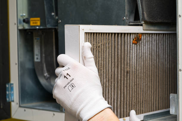 Best Air Quality Test  in Fowler, CA