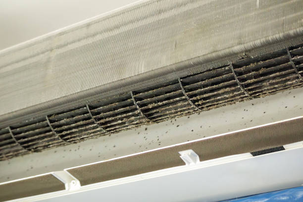 Best HVAC Duct Inspection Services  in Fowler, CA